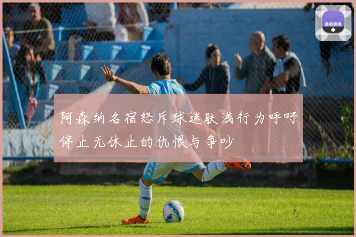 阿森纳名宿怒斥球迷肤浅行为呼吁停止无休止的仇恨与争吵