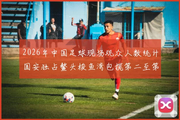 2026年中国足球现场观众人数统计国安独占鳌头梭鱼湾包揽第二至第七位